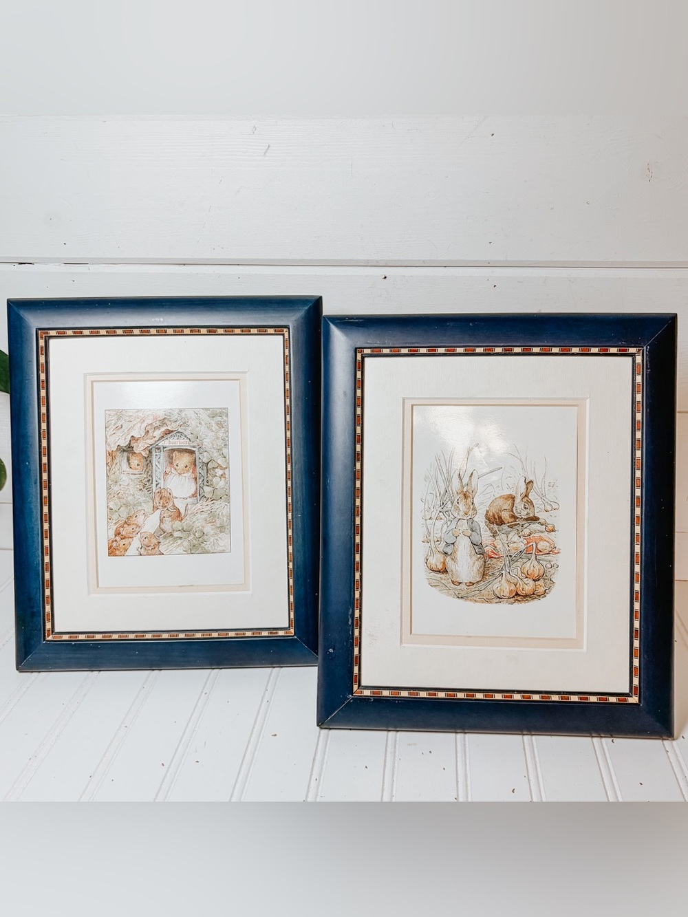 Beatrix Potter Peter Rabbit Framed Wall Hangings